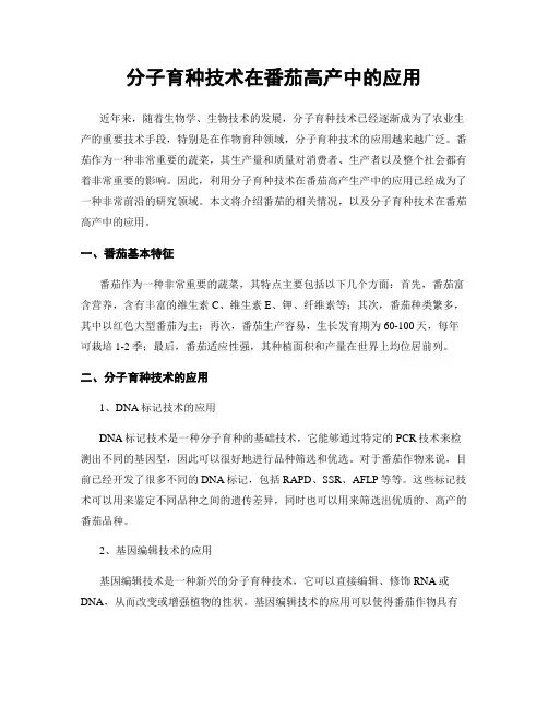 分子育种技术在番茄高产中的应用