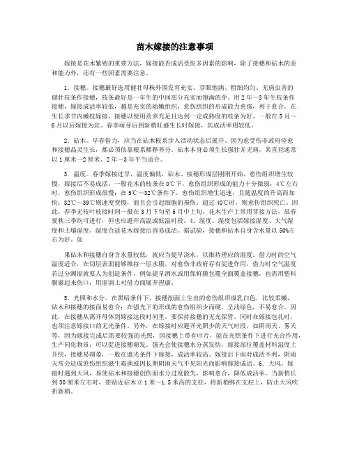 苗木嫁接的注意事项