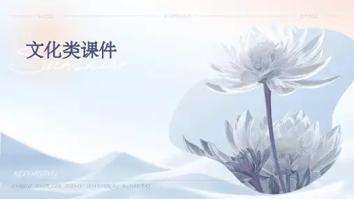 文化类课件ppt