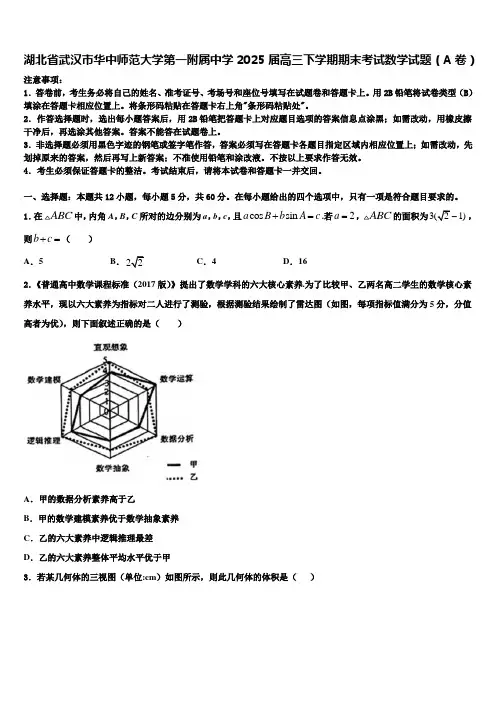 湖北省武汉市华中师范大学第一附属中学2025届高三下学期期末考试数学试题(A卷)