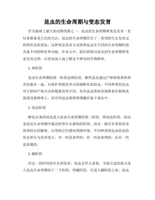 昆虫的生命周期与变态发育