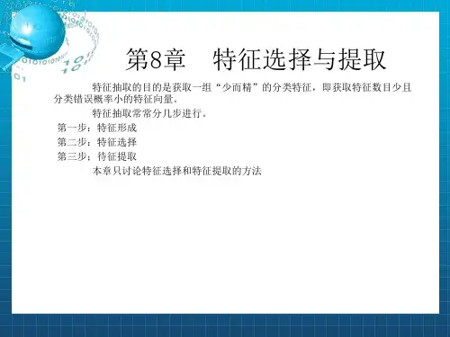 《模式识别》PPT课件