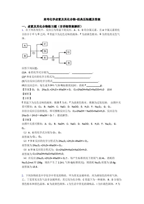 高考化学卤素及其化合物-经典压轴题及答案