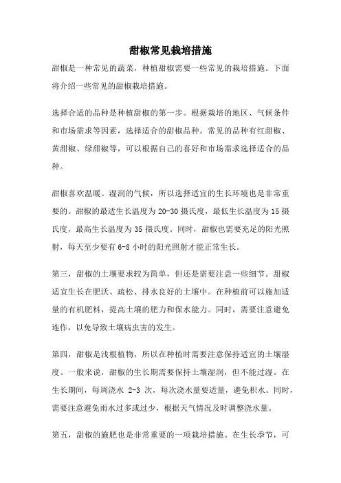 甜椒常见栽培措施