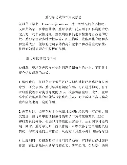 益母草功效与作用及禁忌