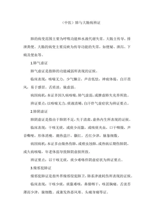 (中医)肺与大肠病辨证