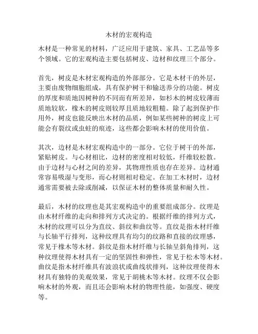 木材的宏观构造