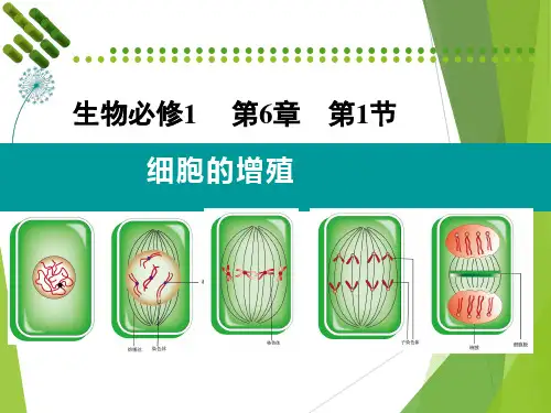 《细胞的增殖》ppt课件