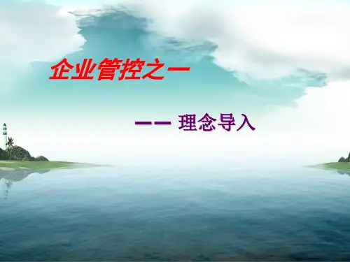 集团公司管控体系设计全解