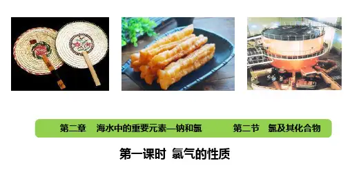 氯气的性质ppt课件