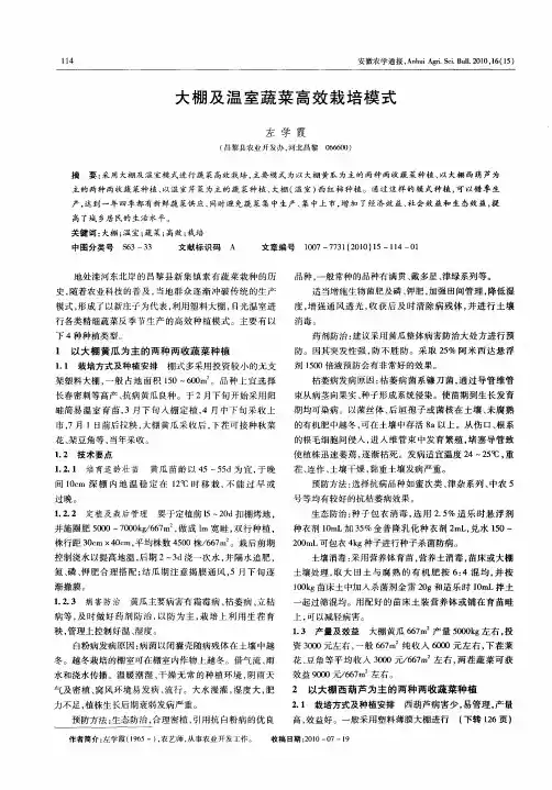 大棚及温室蔬菜高效栽培模式