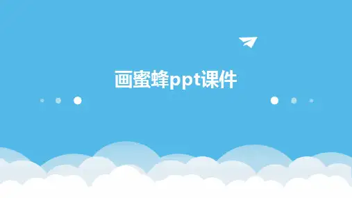 画蜜蜂ppt课件