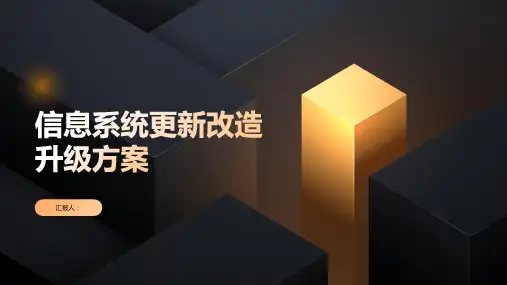 内部控制-信息系统更新改造升级方案-内部信息系统更新