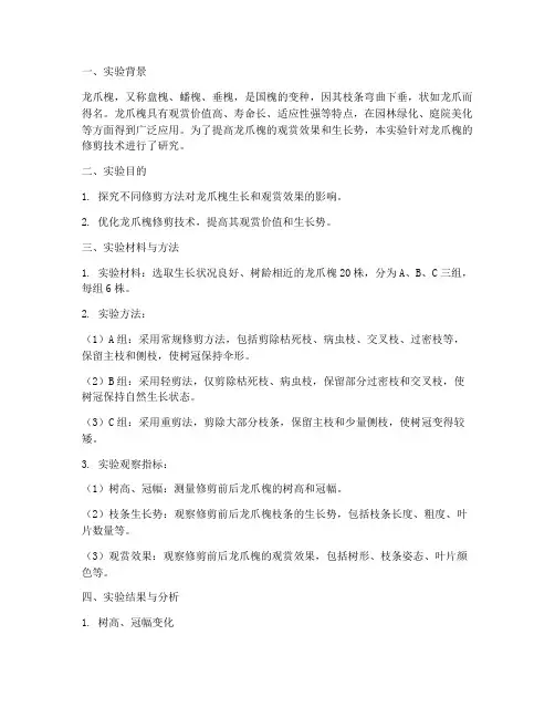 龙爪槐修剪实验报告