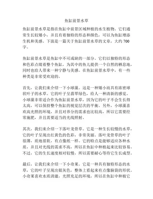 鱼缸前景水草