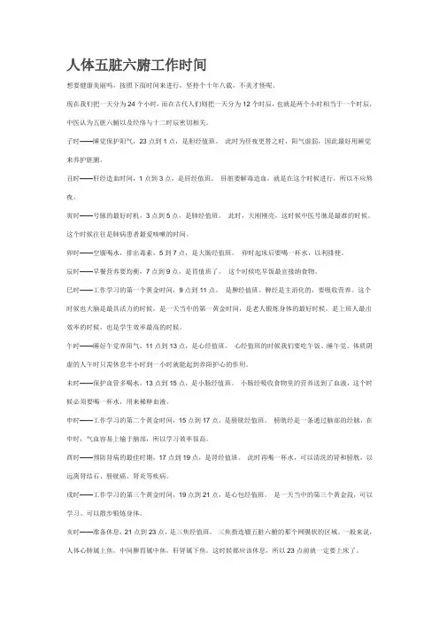 人体五脏六腑工作时间