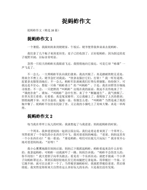 捉蚂蚱作文