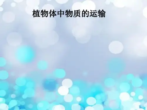 植物体中物质的运输PPT教学课件