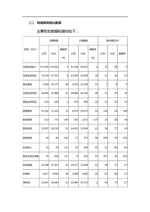 利润表及报告分析