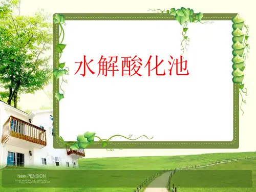 水解酸化池