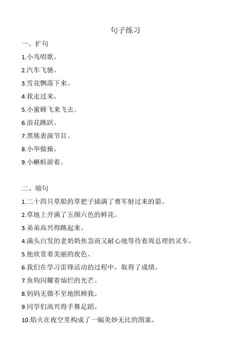 句子练习(扩句、缩句)