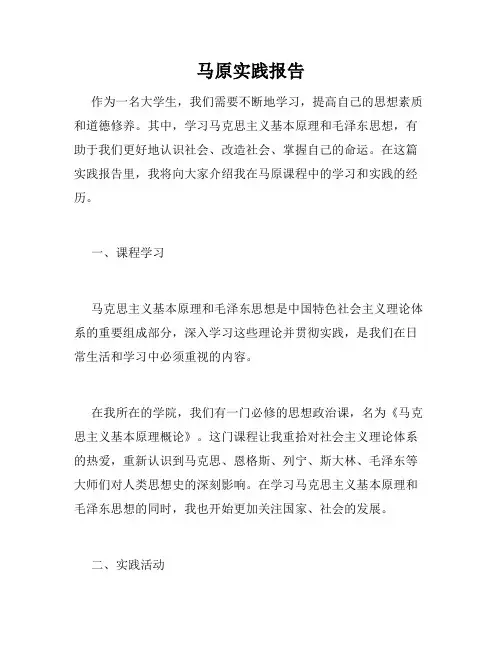 马原实践报告