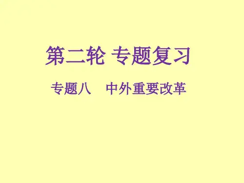 广东省2019年中考历史解读总复习课件：专题八 中外重要改革(共28张PPT)