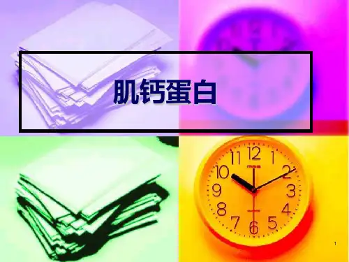 肌钙蛋白PPT课件