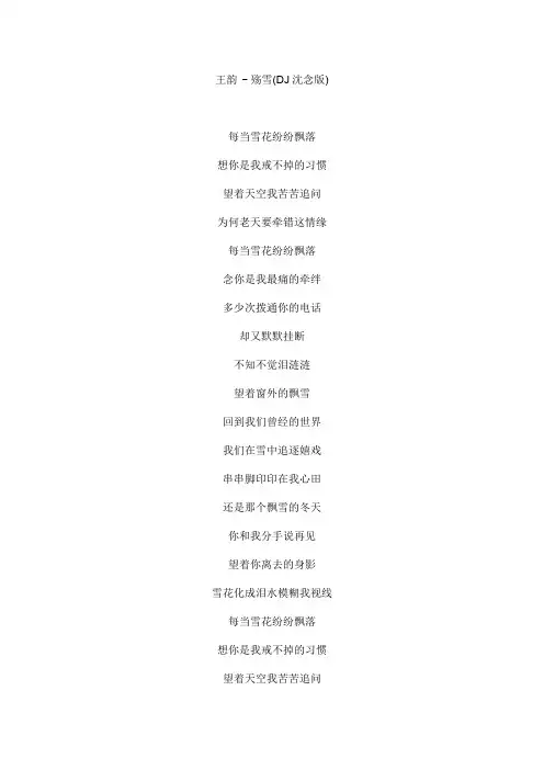 殇雪 (DJ沈念版)文本歌词