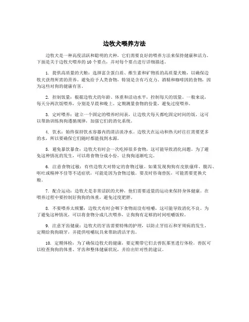 边牧犬喂养方法