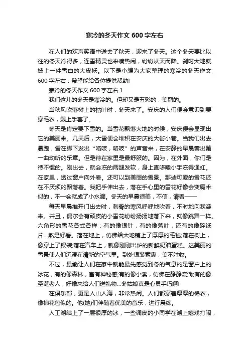 寒冷的冬天作文600字左右
