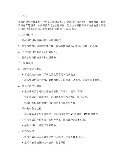 组培实训报告流程
