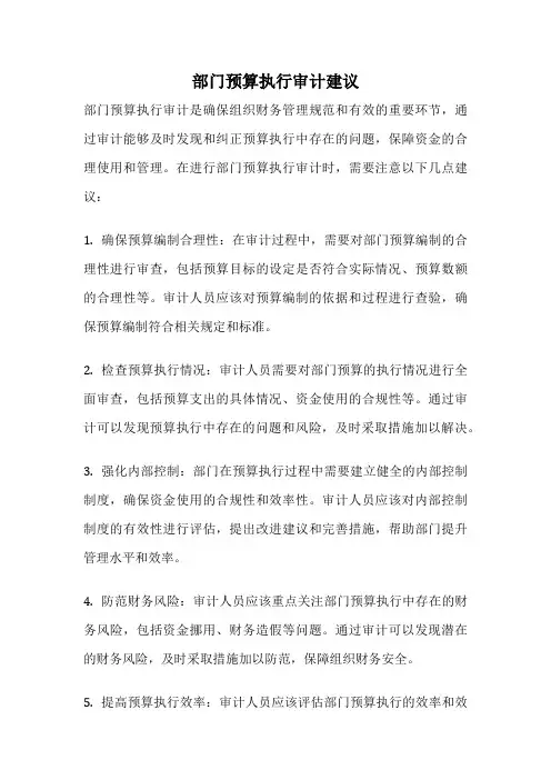 部门预算执行审计建议