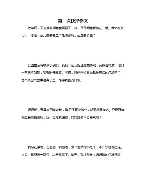 第一次抉择作文