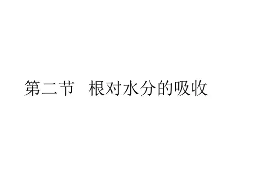 第二节《根对水分的吸收》PPT课件