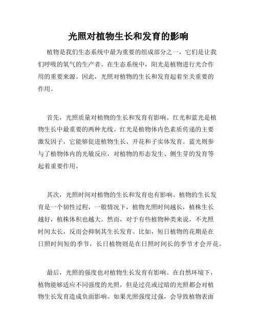 光照对植物生长和发育的影响