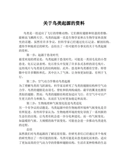 关于鸟类起源的资料