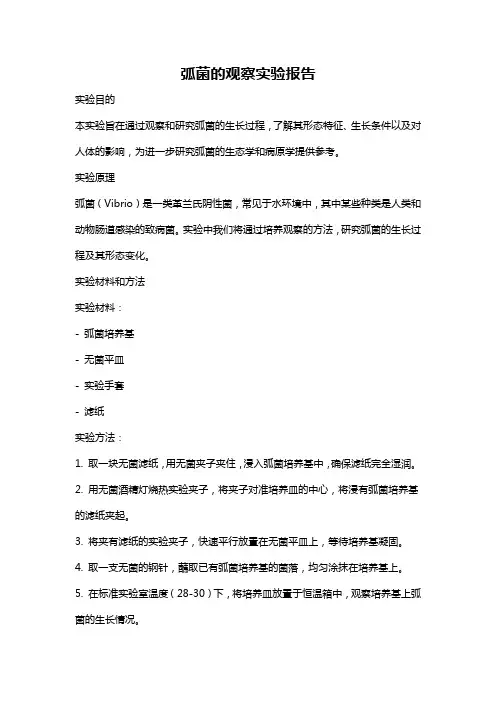 弧菌的观察实验报告