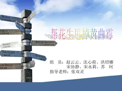 花生中黄曲霉