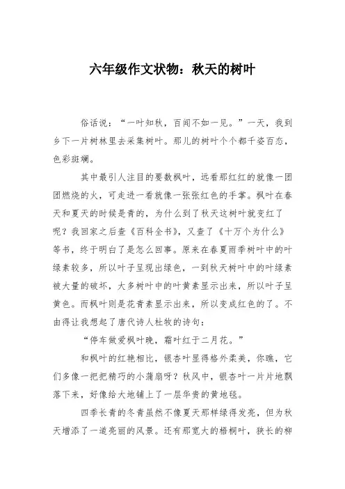 六年级作文状物：秋天的树叶