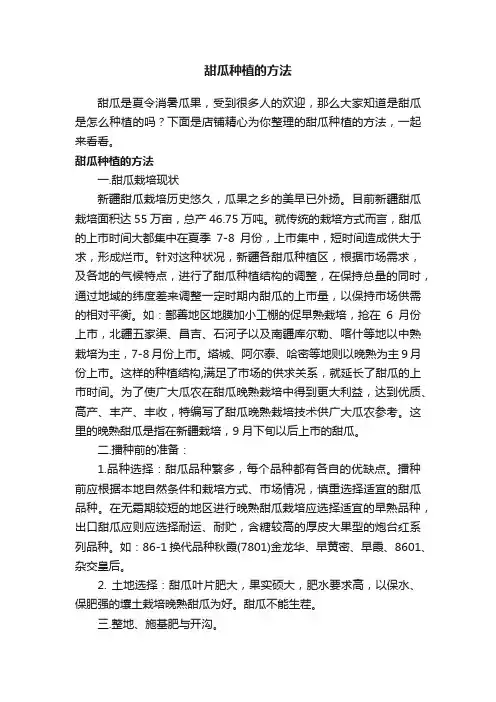 甜瓜种植的方法