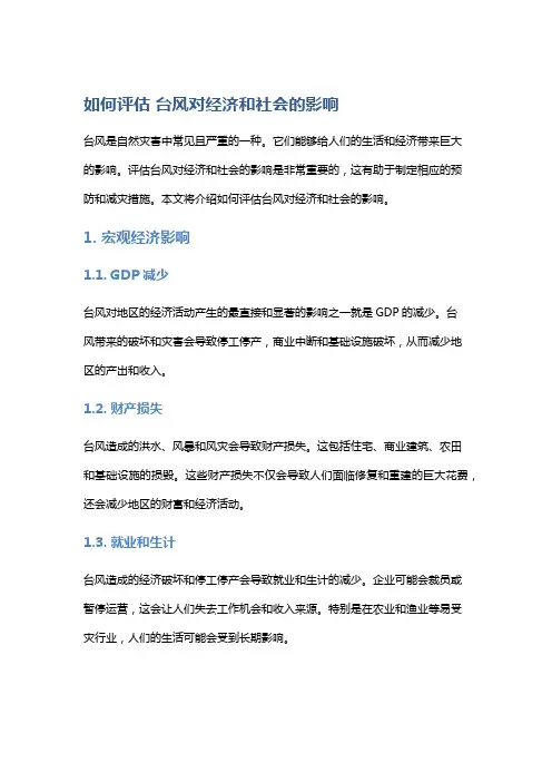 如何评估 台风对经济和社会的影响