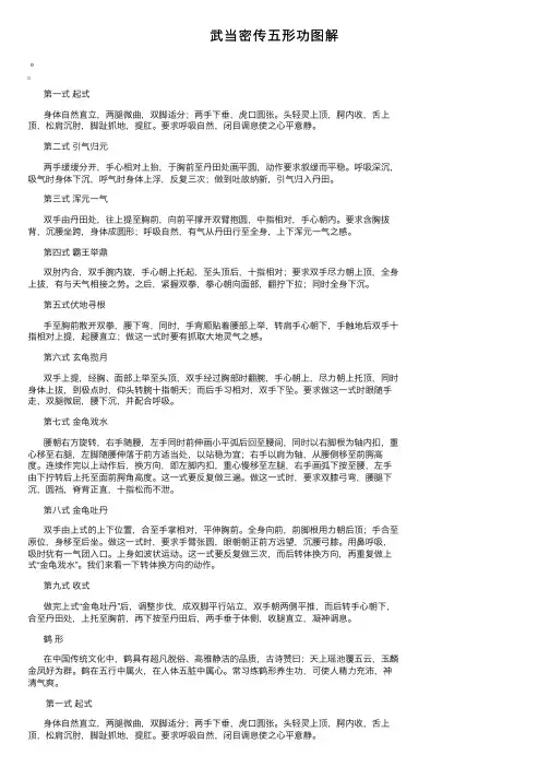 武当密传五形功图解