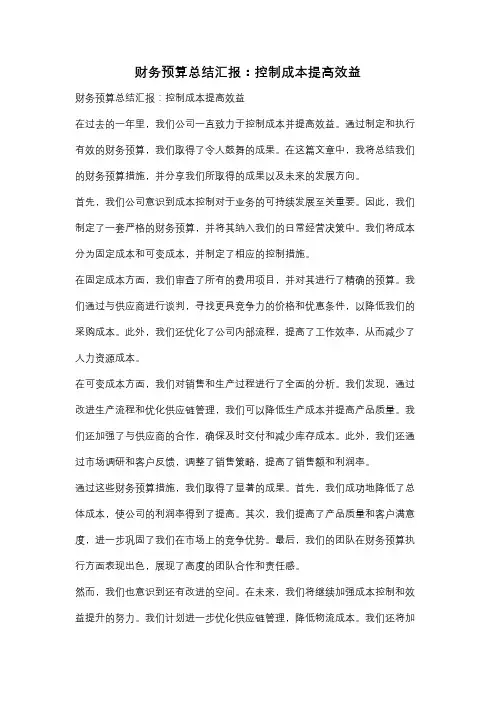 财务预算总结汇报：控制成本提高效益