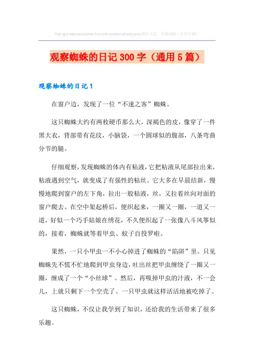 观察蜘蛛的日记300字(通用5篇)