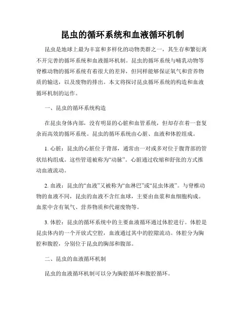 昆虫的循环系统和血液循环机制