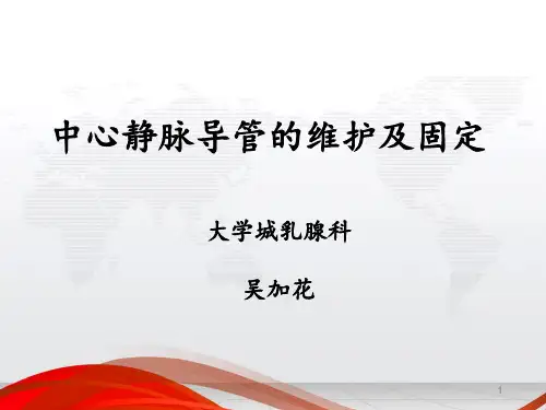 静脉导管维护及固定PPT课件