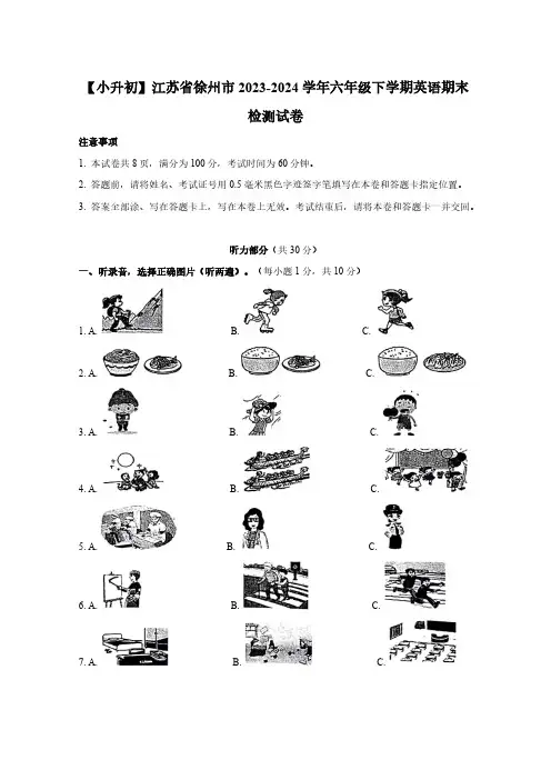 【小升初】江苏省徐州市2023-2024学年六年级下学期英语期末检测试卷(含解析)