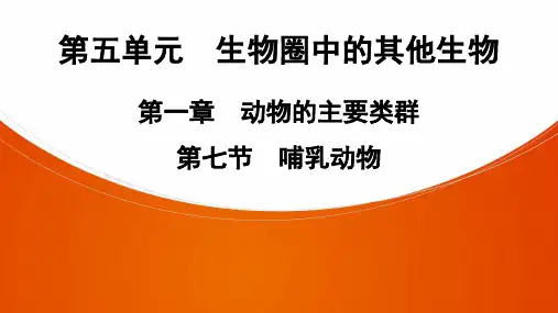 八年级上册生物第1章 第7节 哺乳动物