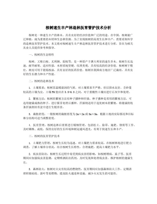 桉树速生丰产林造林抚育管护技术分析